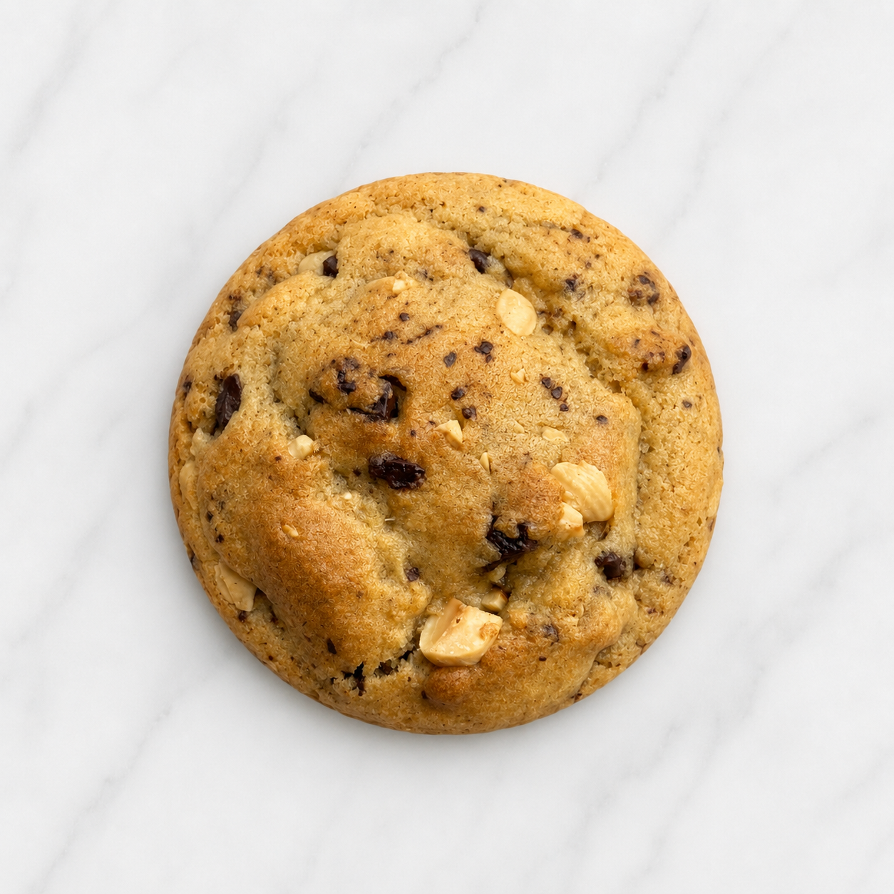 Chocolate nut cookie